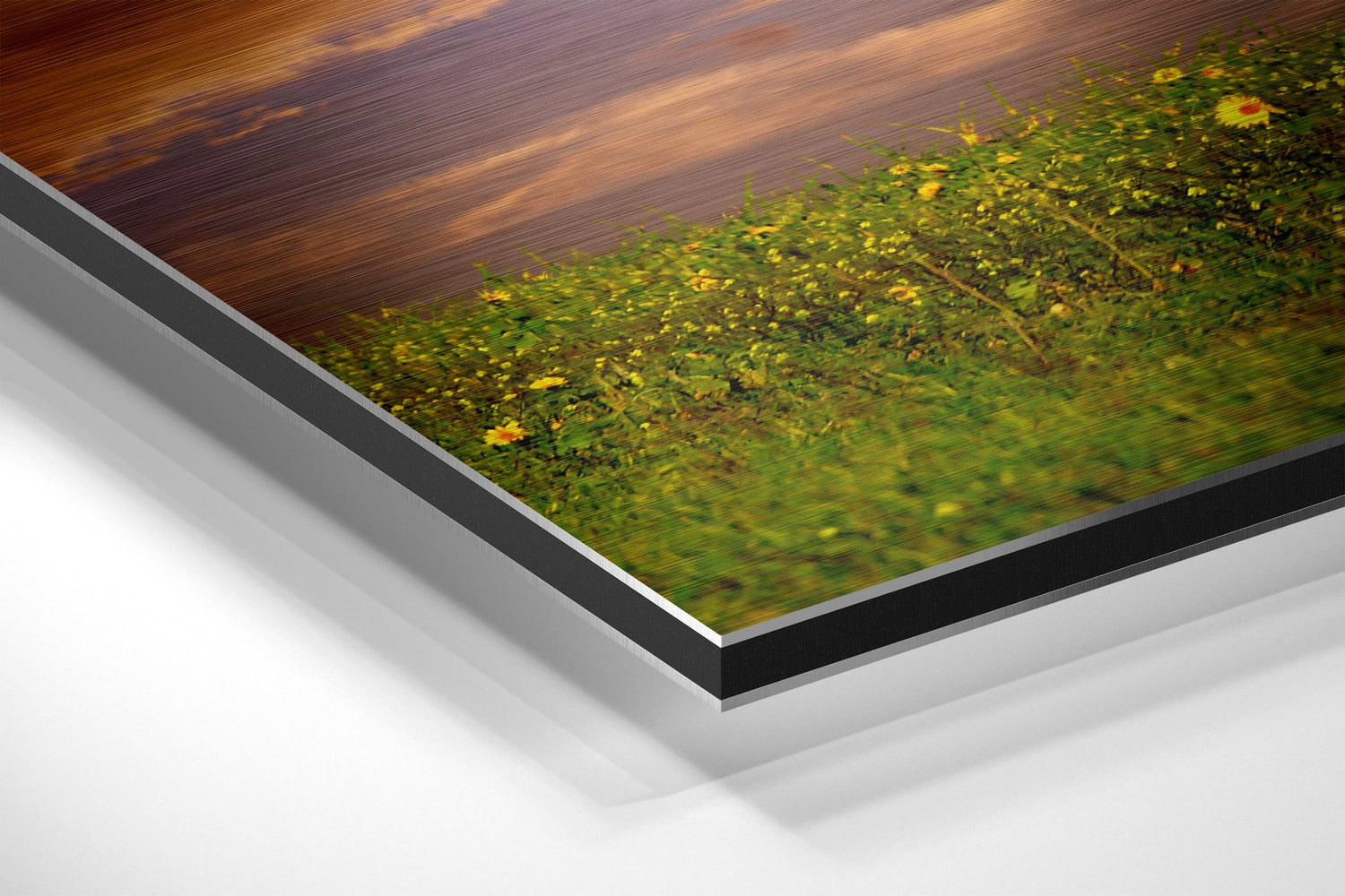 Black Horse Galloping At Sunset Brushed Aluminium Dibond Wall Art