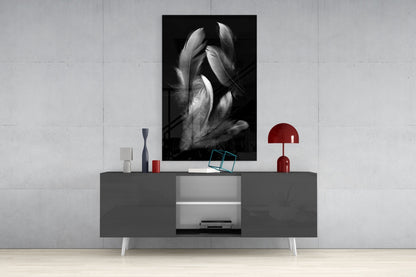Silver Feather Cluster Black Glass Wall Art