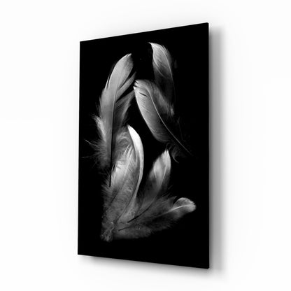 Silver Feather Cluster Black Glass Wall Art