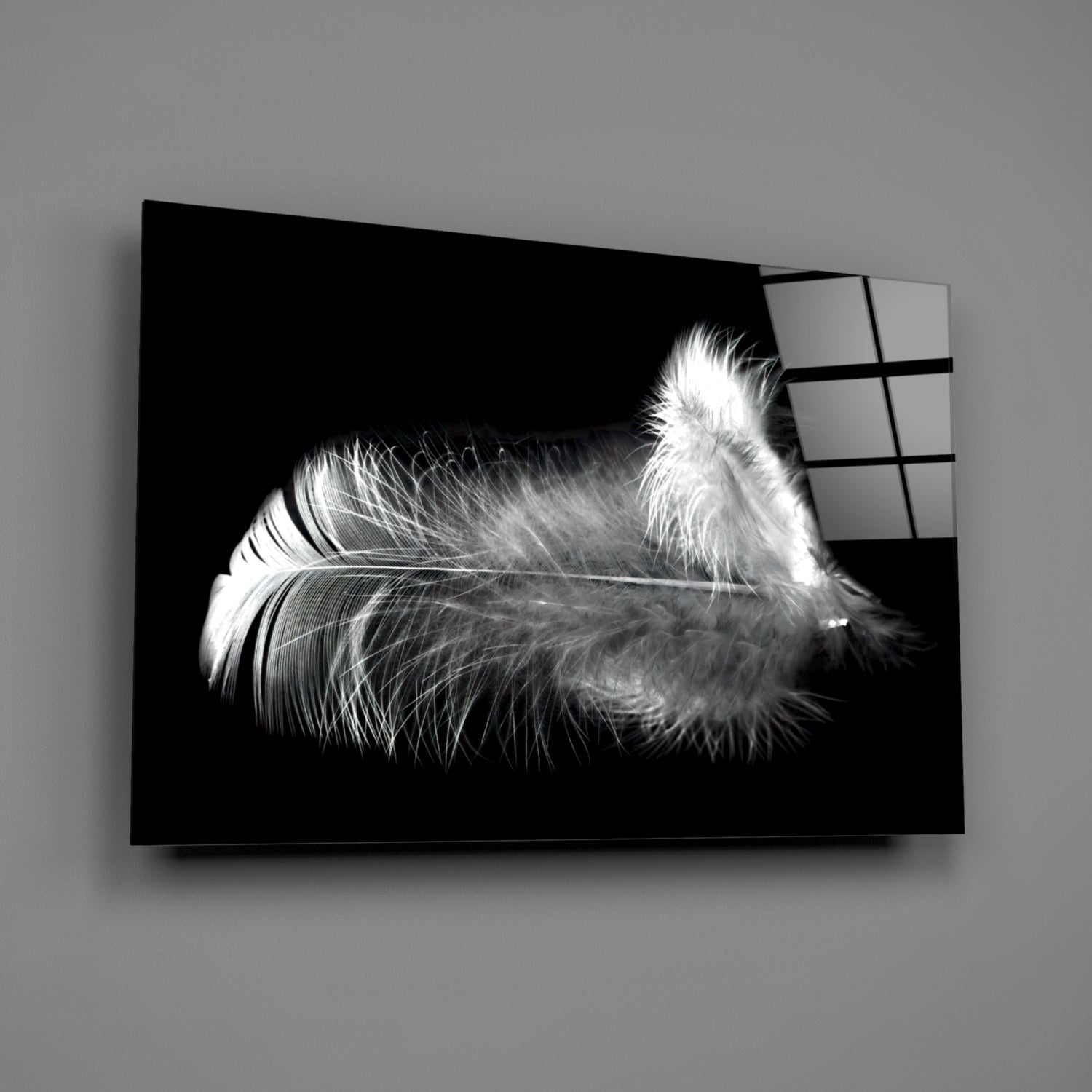 Soft White Feather Black Glass Wall Art