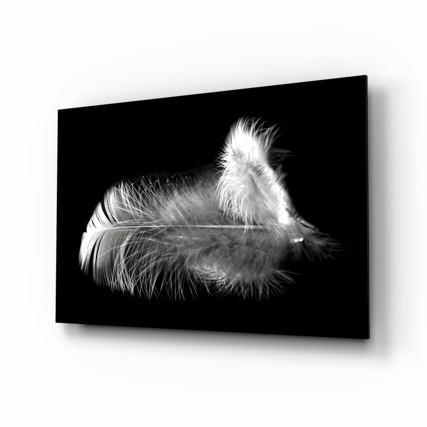 Soft White Feather Black Glass Wall Art