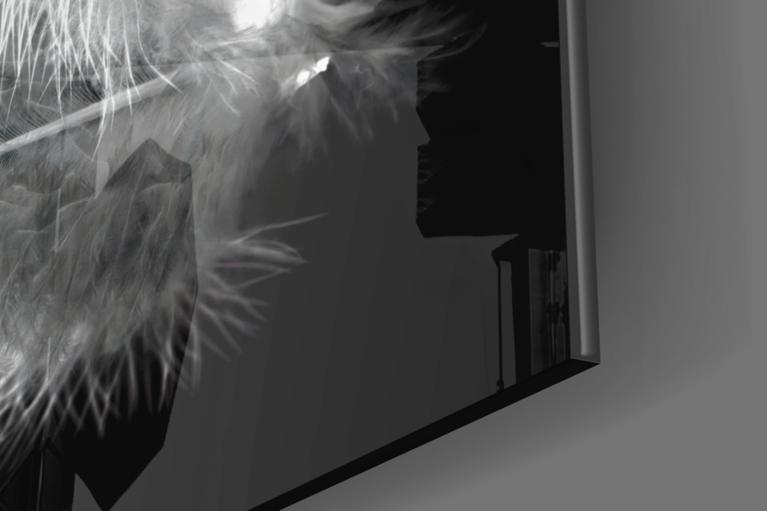 Soft White Feather Black Glass Wall Art