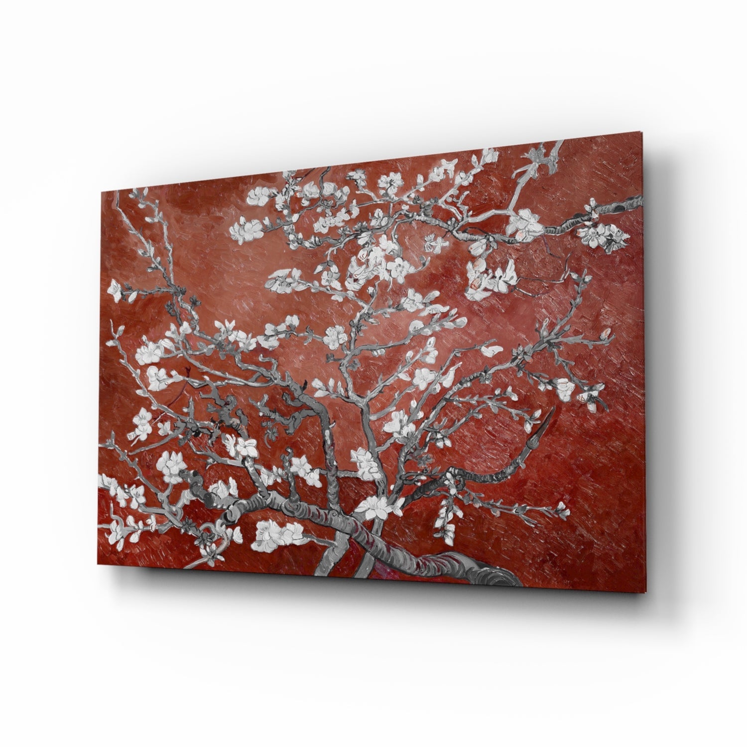 White Blossoms on Terracotta Red Glass Wall Art