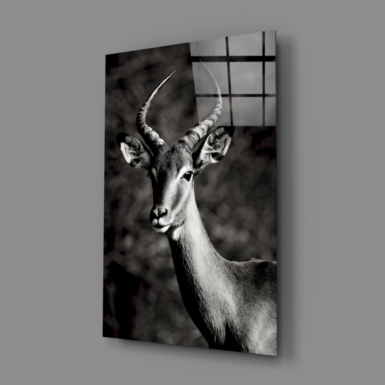 Black and White Impala Portrait Glass Wall Art