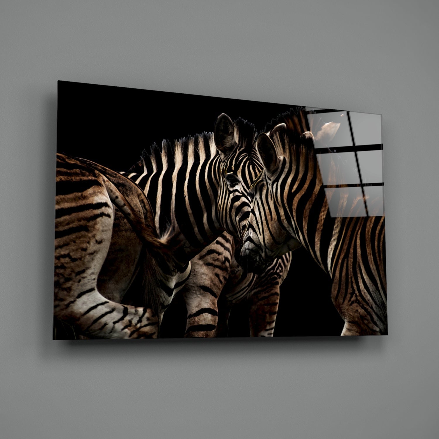 Nuzzling Zebra Pair Glass Wall Art