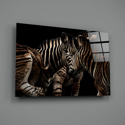 Nuzzling Zebra Pair Glass Wall Art