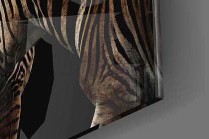 Nuzzling Zebra Pair Glass Wall Art