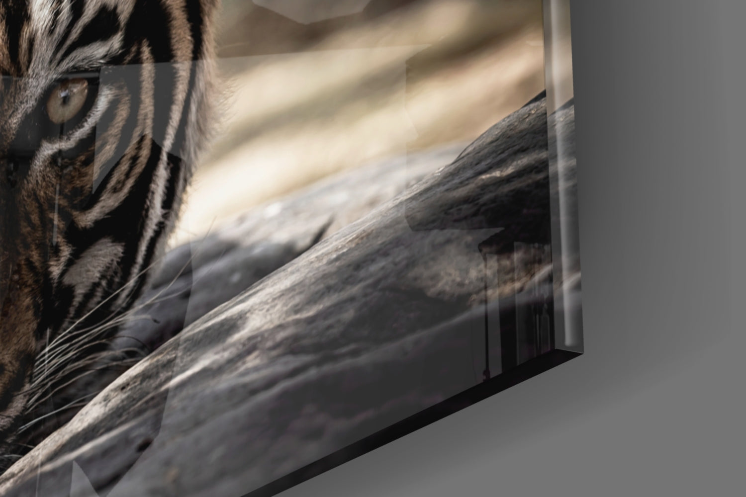 Resting Sepia Tiger Glass Wall Art