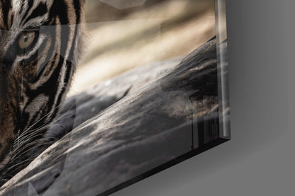 Resting Sepia Tiger Glass Wall Art