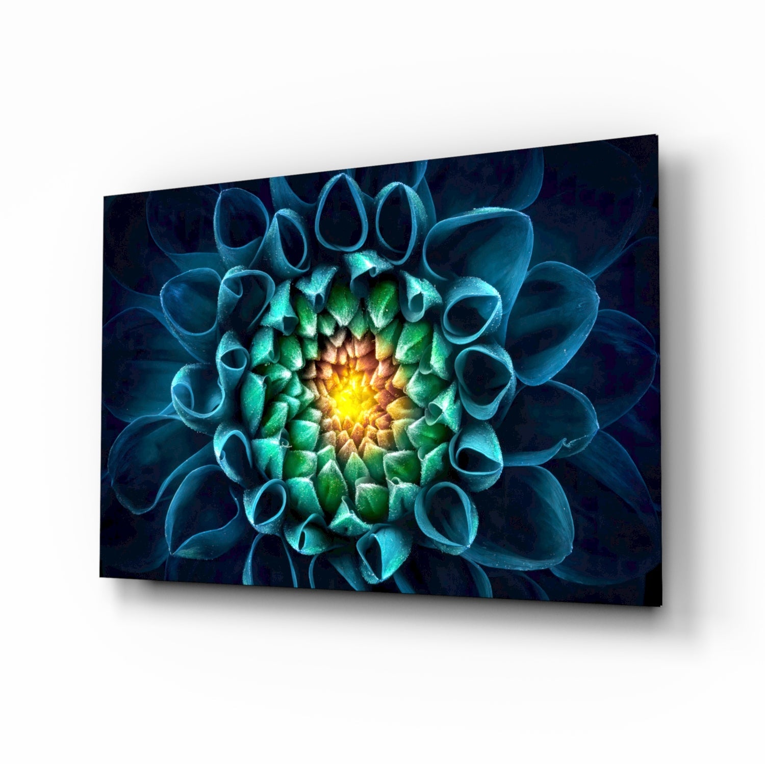 Glowing Teal Dahlia Glass Wall Art