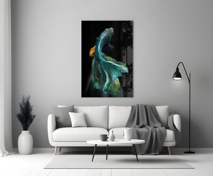 Teal and Gold Betta Fish on Black Glass Wall Art