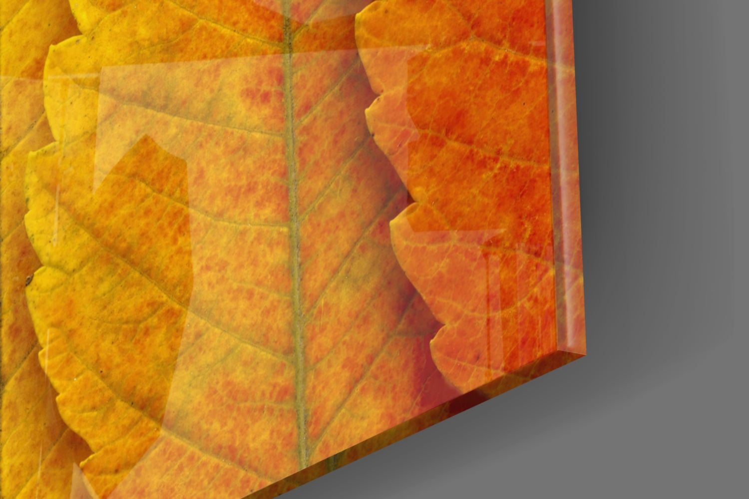 Macro Serrated Leaves Color Shift Glass Wall Art