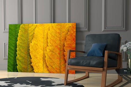 Macro Serrated Leaves Color Shift Glass Wall Art