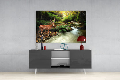 Spotted Deer Forest Stream Glass Wall Art