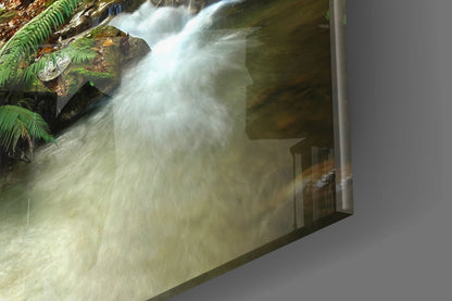 Spotted Deer Forest Stream Glass Wall Art