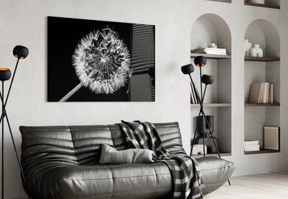 Dandelion Seeds Drifting Black Glass Wall Art