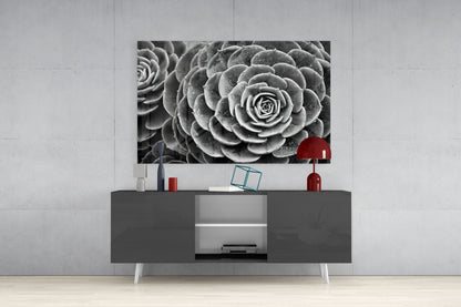 Monochrome Succulent Rosette Glass Wall Art