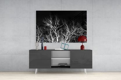 Bare White Branches on Black Night Glass Wall Art