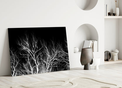 Bare White Branches on Black Night Glass Wall Art