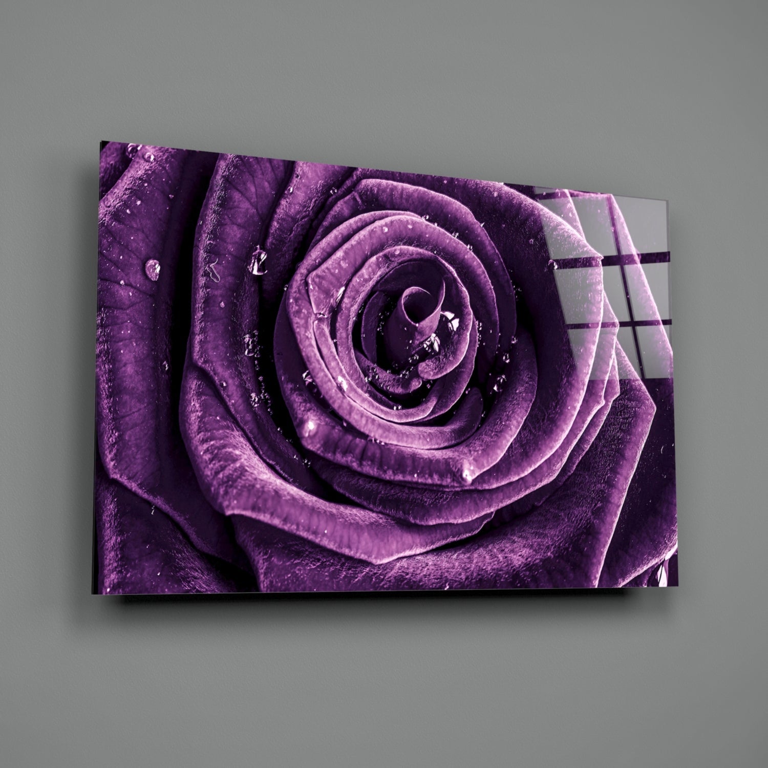 Dewdrop Violet Rose Spiral Bloom Glass Wall Art