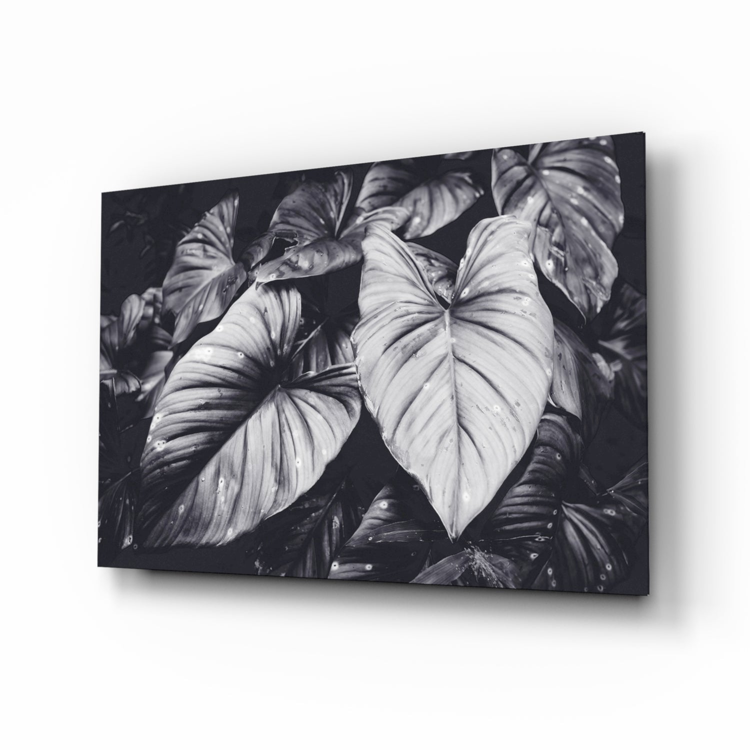 Monochrome Jungle Leaves Glass Wall Art