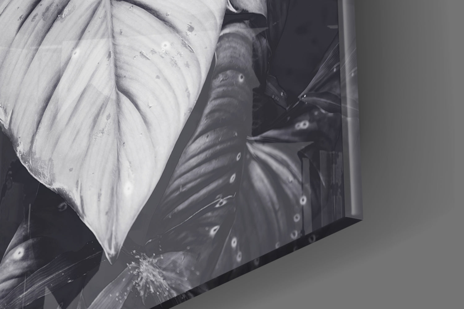 Monochrome Jungle Leaves Glass Wall Art