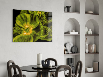 Glowing Chartreuse Poppy Bloom Glass Wall Art