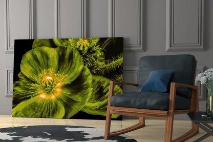 Glowing Chartreuse Poppy Bloom Glass Wall Art