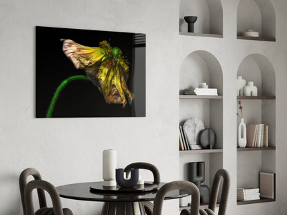 Wilting Yellow Poppy Glass Wall Art