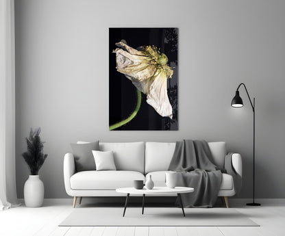 Dried White Poppy Stem Glass Wall Art