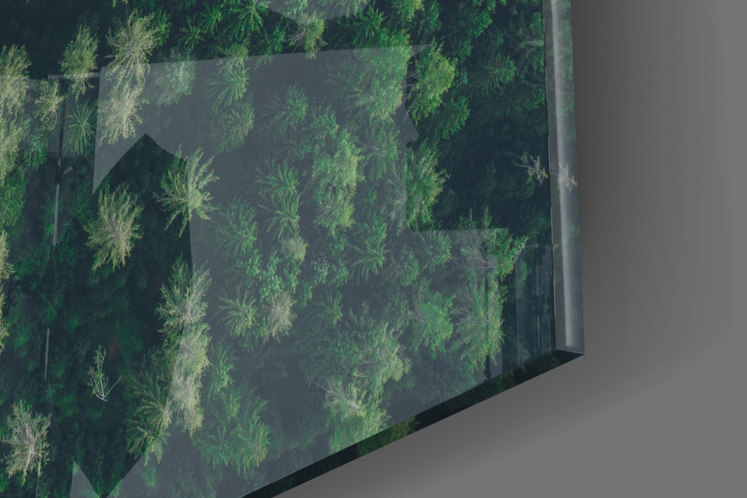 Aerial Woodland Curved Road Glass Wall Art