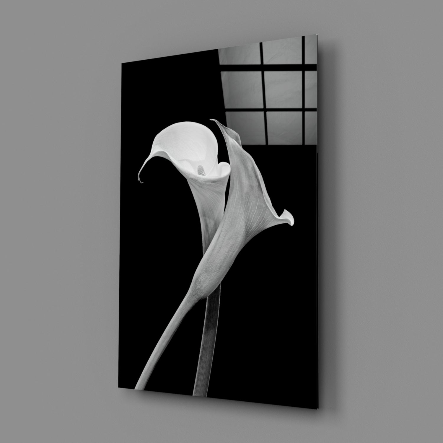 Monochrome Calla Lily Glass Wall Art