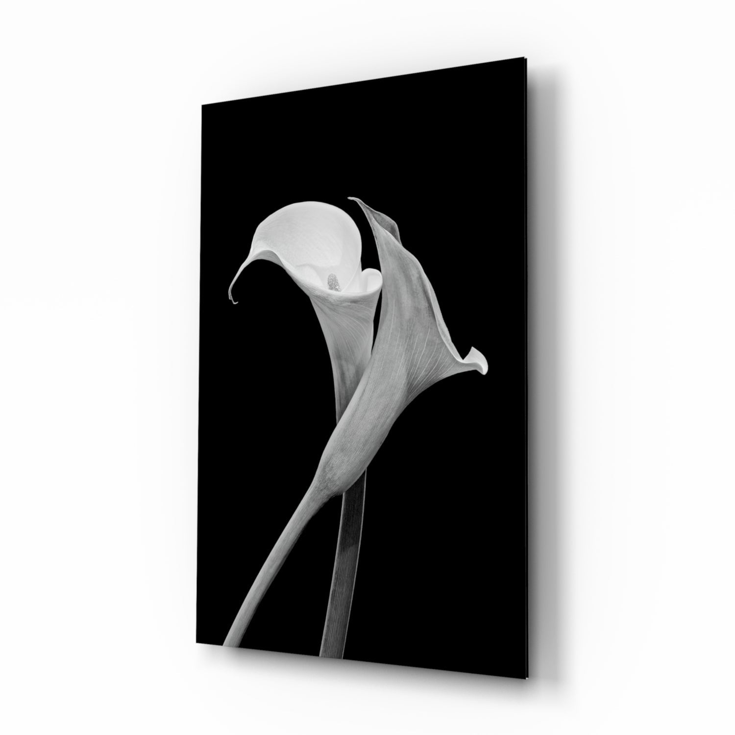 Monochrome Calla Lily Glass Wall Art