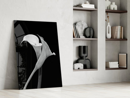 Monochrome Calla Lily Glass Wall Art
