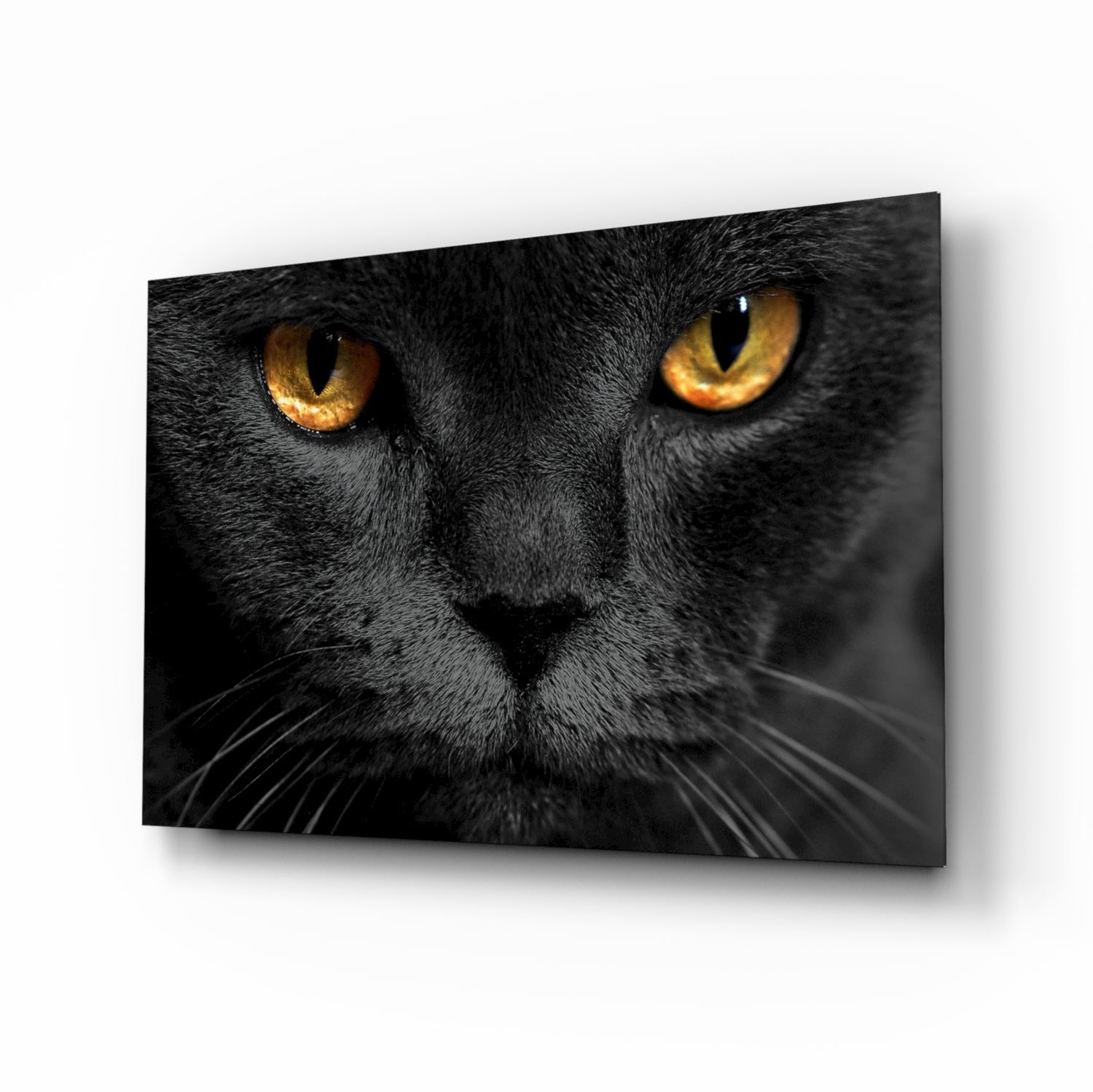 Golden Eyed Black Cat Glass Wall Art