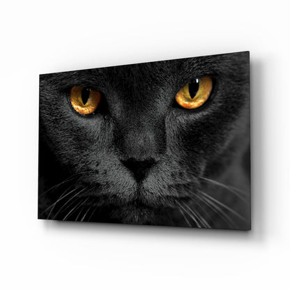Golden Eyed Black Cat Glass Wall Art