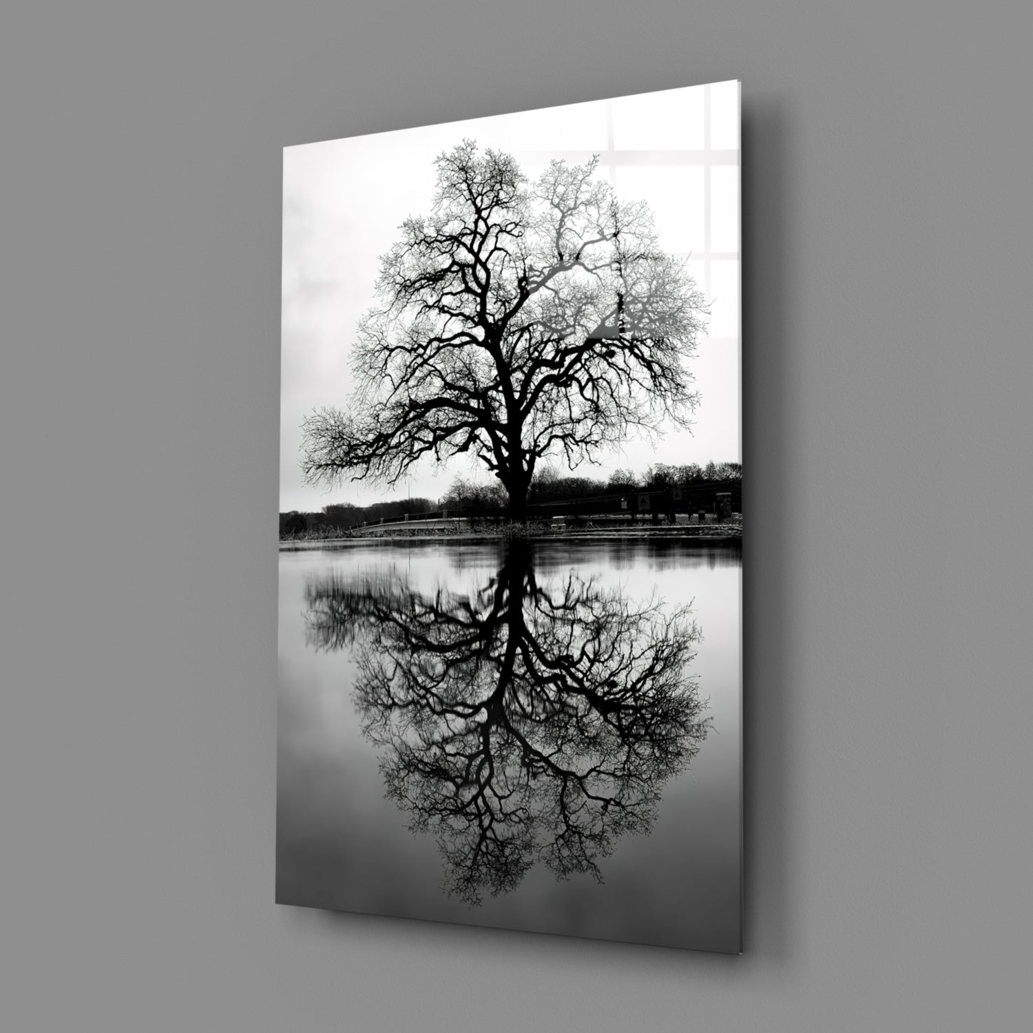 Bare Tree Lake Reflection Black White Glass Wall Art