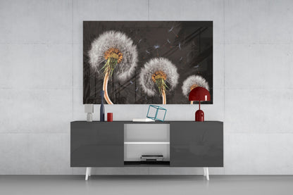 Three Dandelion Seed Heads on Charcoal Glass Wall Art