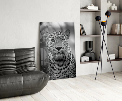 Bold Stare Leopard Portrait Glass Wall Art