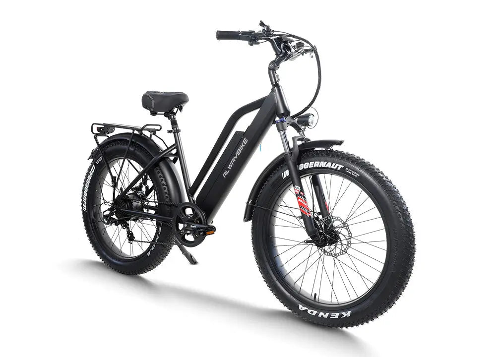 CEMOTO EBIKE AEB31A | City Commuter e-bikes