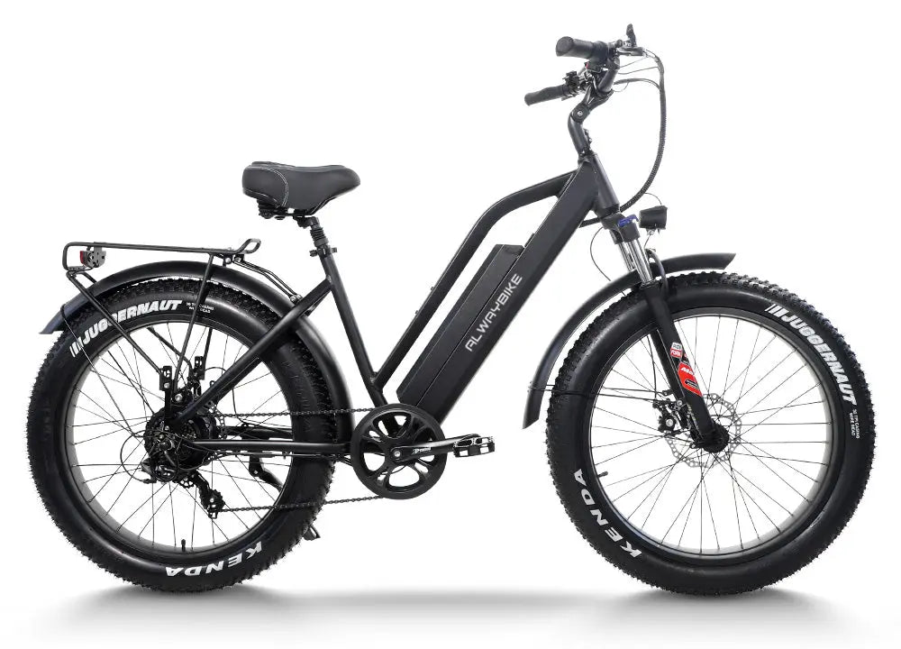 CEMOTO EBIKE AEB31A | City Commuter e-bikes