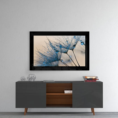 Blue Dew Drops on Dandelion Seeds Glass Wall Art