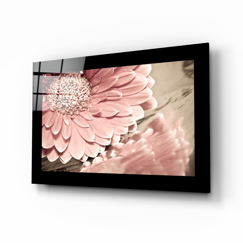 Dusty Rose Daisy Vintage Tone Flower Glass Wall Art