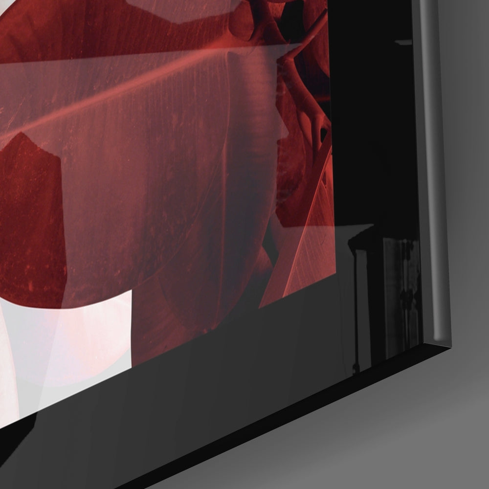Coral Maroon Rubber Fig Leaves Glass Wall Art
