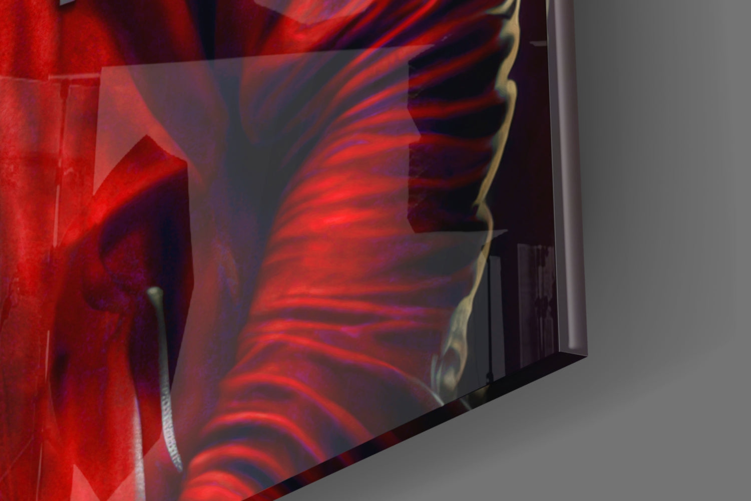 Gorilla in Red Hoodie With Headphones Glass Wall Art