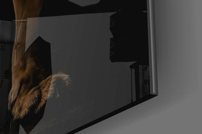 Lion in the Dark Glass Wall Art|| Designer&