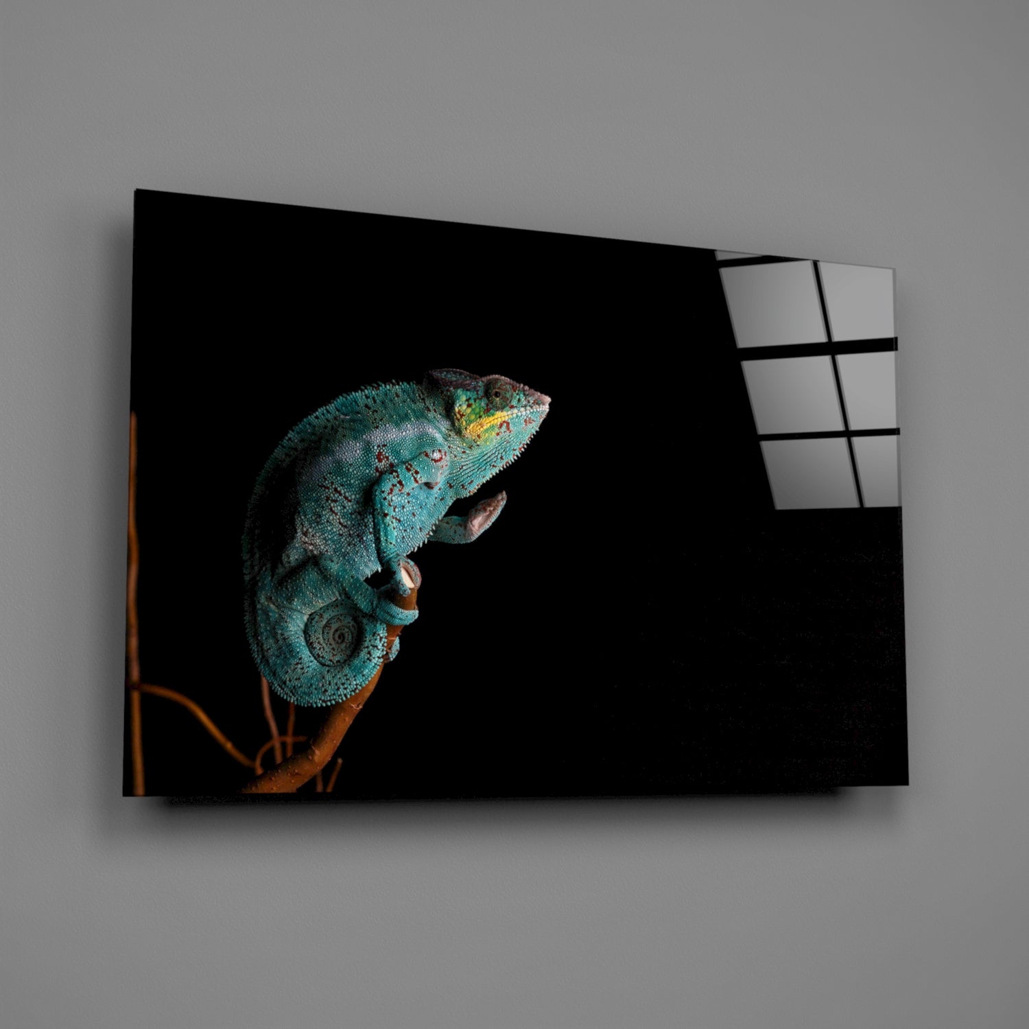 Turquoise Chameleon On Branch Black Glass Wall Art