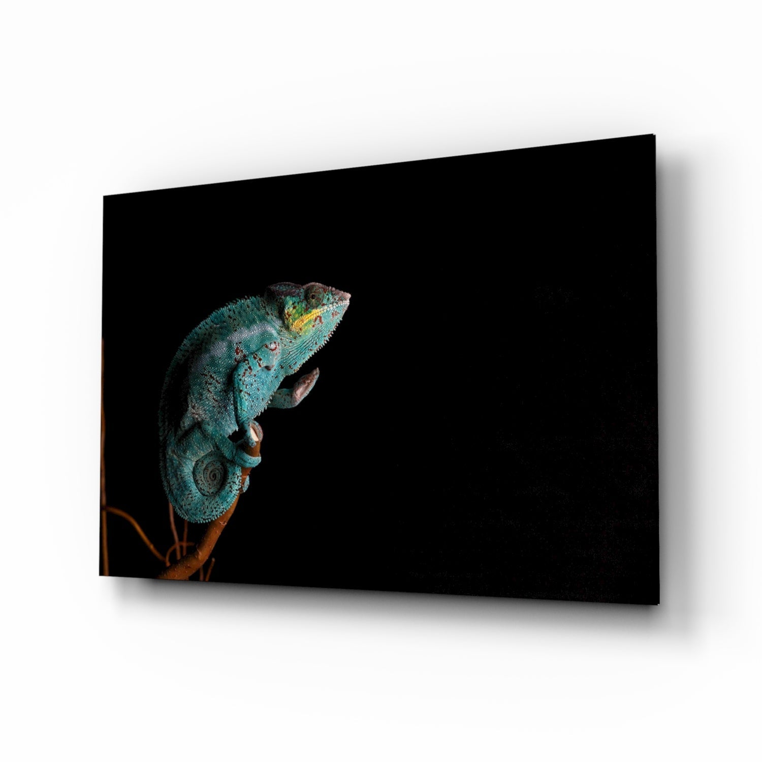 Turquoise Chameleon On Branch Black Glass Wall Art