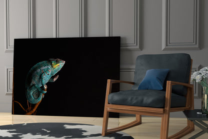 Turquoise Chameleon On Branch Black Glass Wall Art