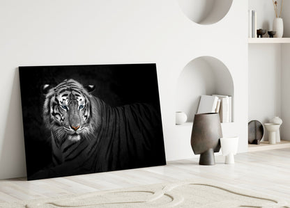 Reclining Blue Eyed Tiger Glass Wall Art